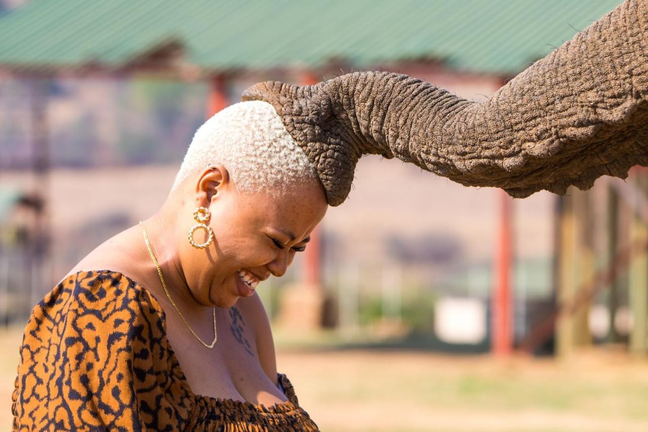 African Hills Safari Lodge & Spa Magaliesburg Kültér fotó