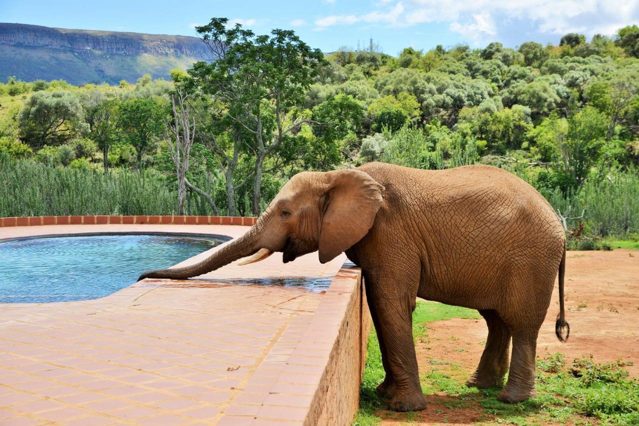 African Hills Safari Lodge & Spa Magaliesburg Kültér fotó
