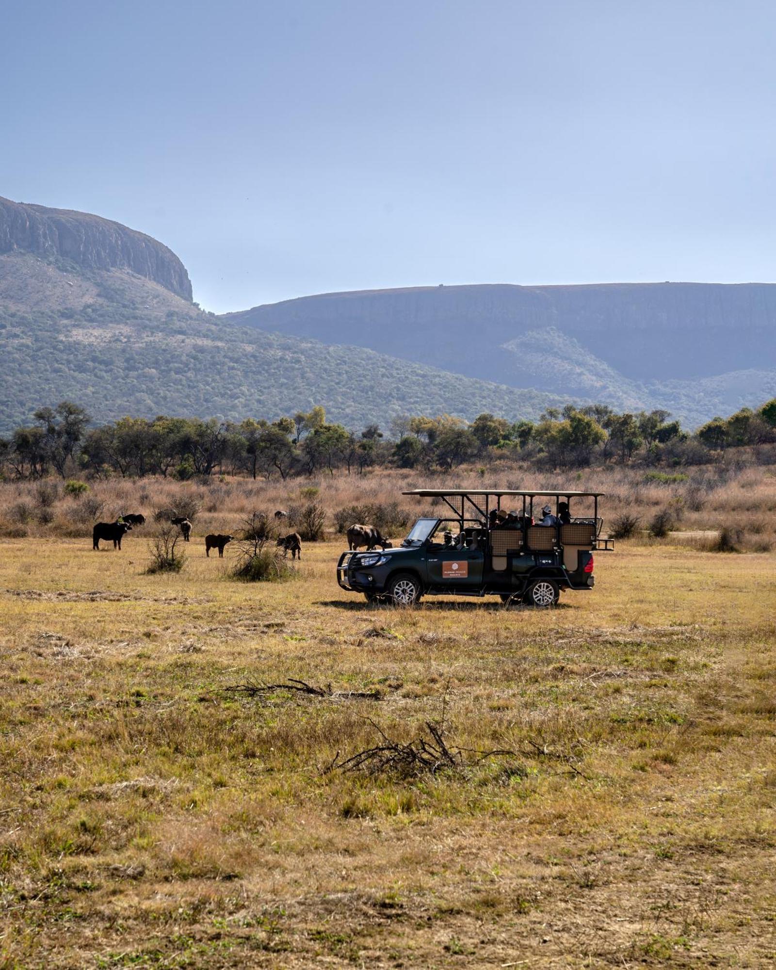 African Hills Safari Lodge & Spa Magaliesburg Kültér fotó
