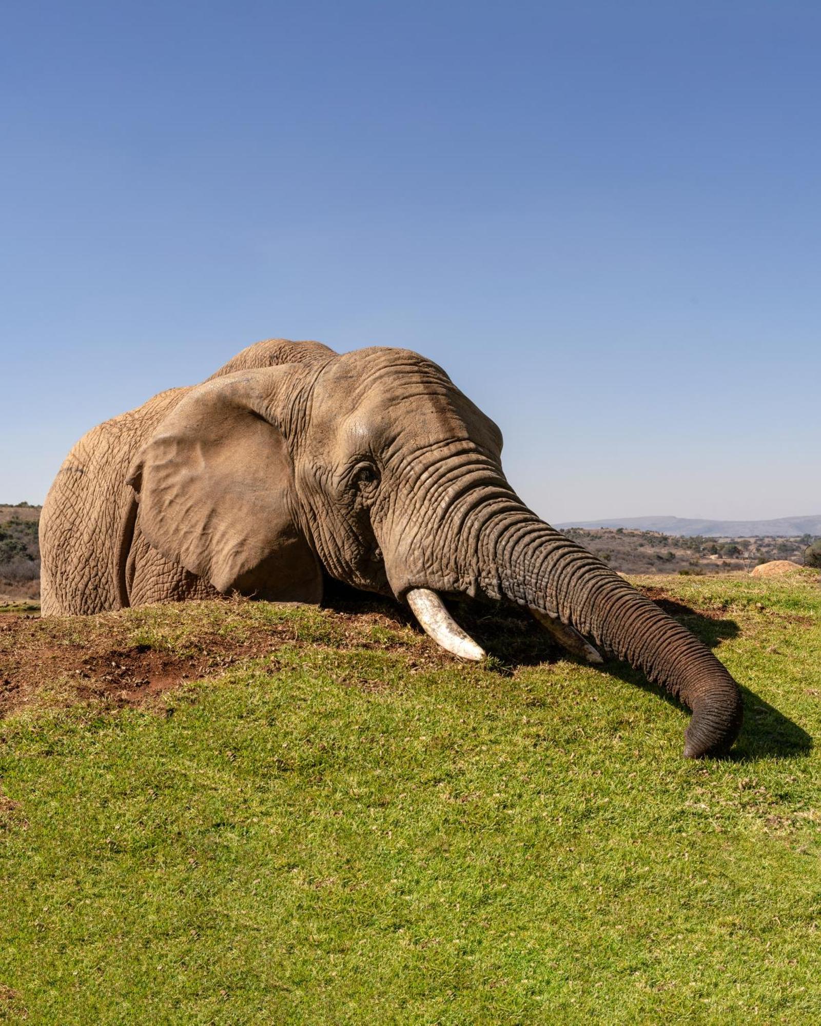 African Hills Safari Lodge & Spa Magaliesburg Kültér fotó